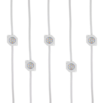 Smart Permanent Outdoor Lights, LED Eaves Lights, Weather & Water Resistant