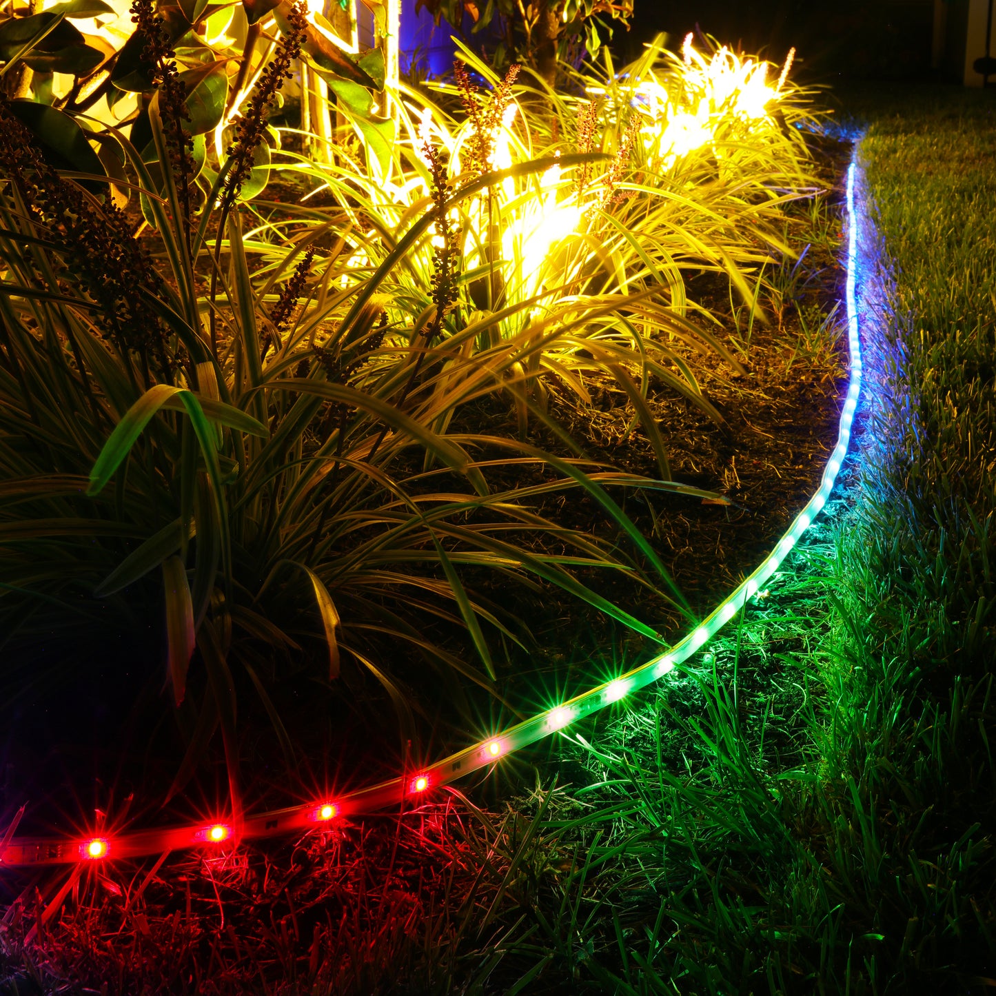 100Ft Outdoor Light Strip